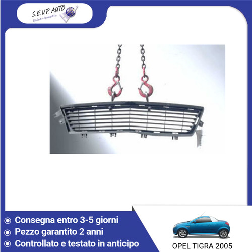 Griglia del paraurti - 🇮🇹,